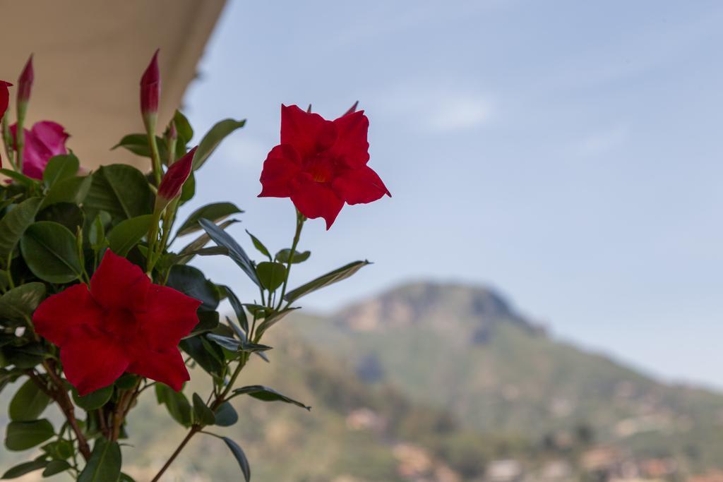 La Guardiola Di Angela E Nino Bed and Breakfast Taormina Exteriör bild
